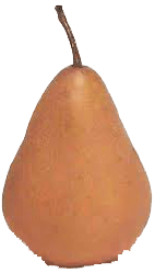 Copefrut  bosc pear per pound Full-Size Picture